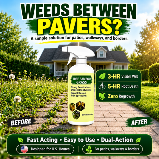 🔥2026 SALE - Fast-Acting Natural Weed & Grass Killer Spray